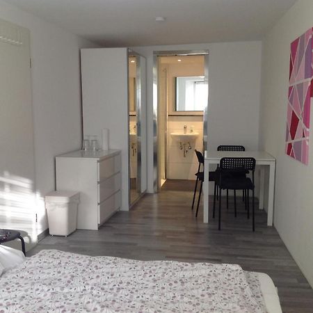 Stadtmitte Ferienwohnung Waldshut المظهر الخارجي الصورة
