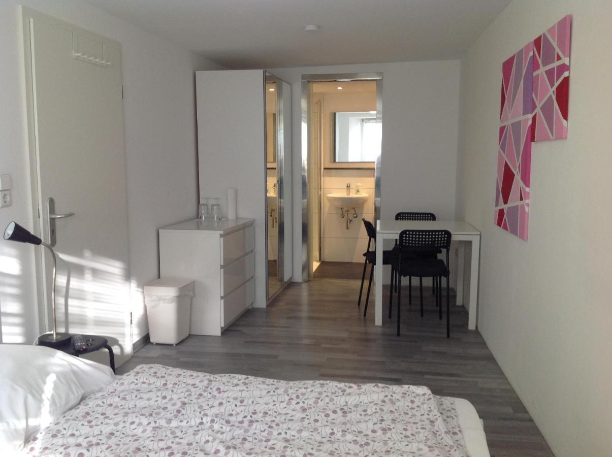 Stadtmitte Ferienwohnung Waldshut المظهر الخارجي الصورة
